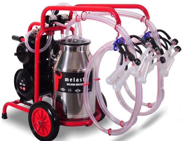 այծ կթելու ագրեգատներ доильные агрегаты для коз goat milking machines